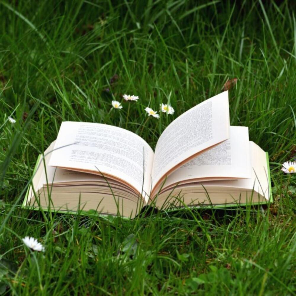 Buch-Empfehlungen zur Jahreskonferenz 2025
