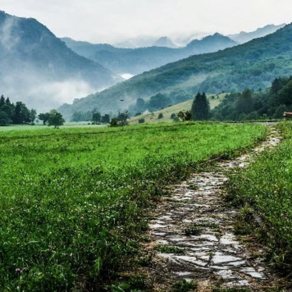 Journey Through Life Phases: An Anthroposophic Approach. An Introductory Course to Biographical Work