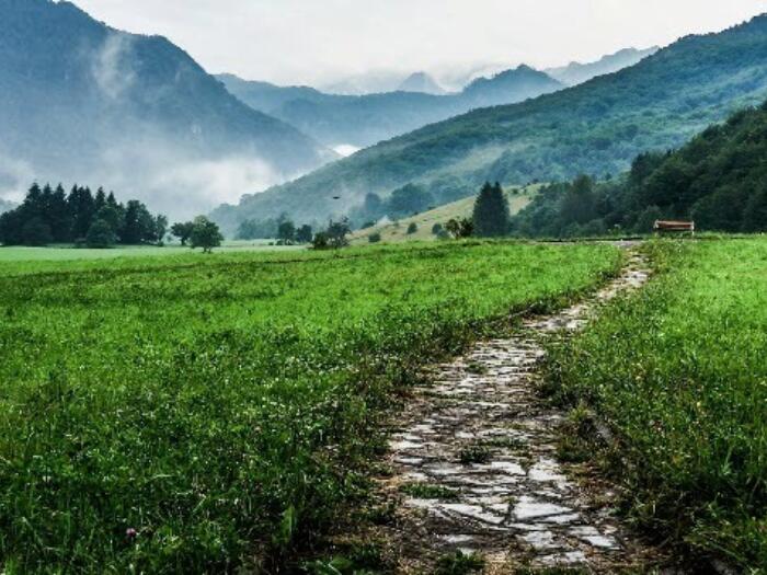 Journey Through Life Phases: An Anthroposophic Approach. An Introductory Course to Biographical Work