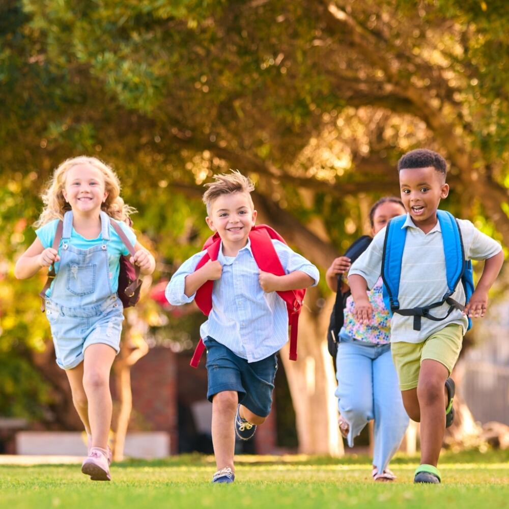 16.-17. Januar 2026 in Stuttgart: Medizinisch-pädagogische und schulärztliche Weiterbildung, Modul 10