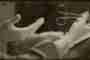 Symposium Anthroposophic Perioperative Medicine