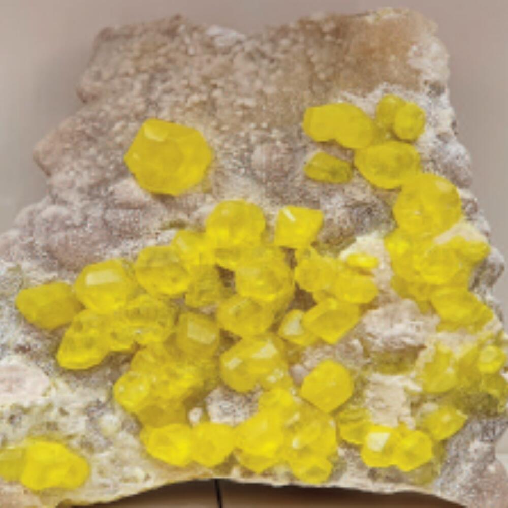 Kompaktkurs Anthroposophische Arzneimittel 2026 – 2029