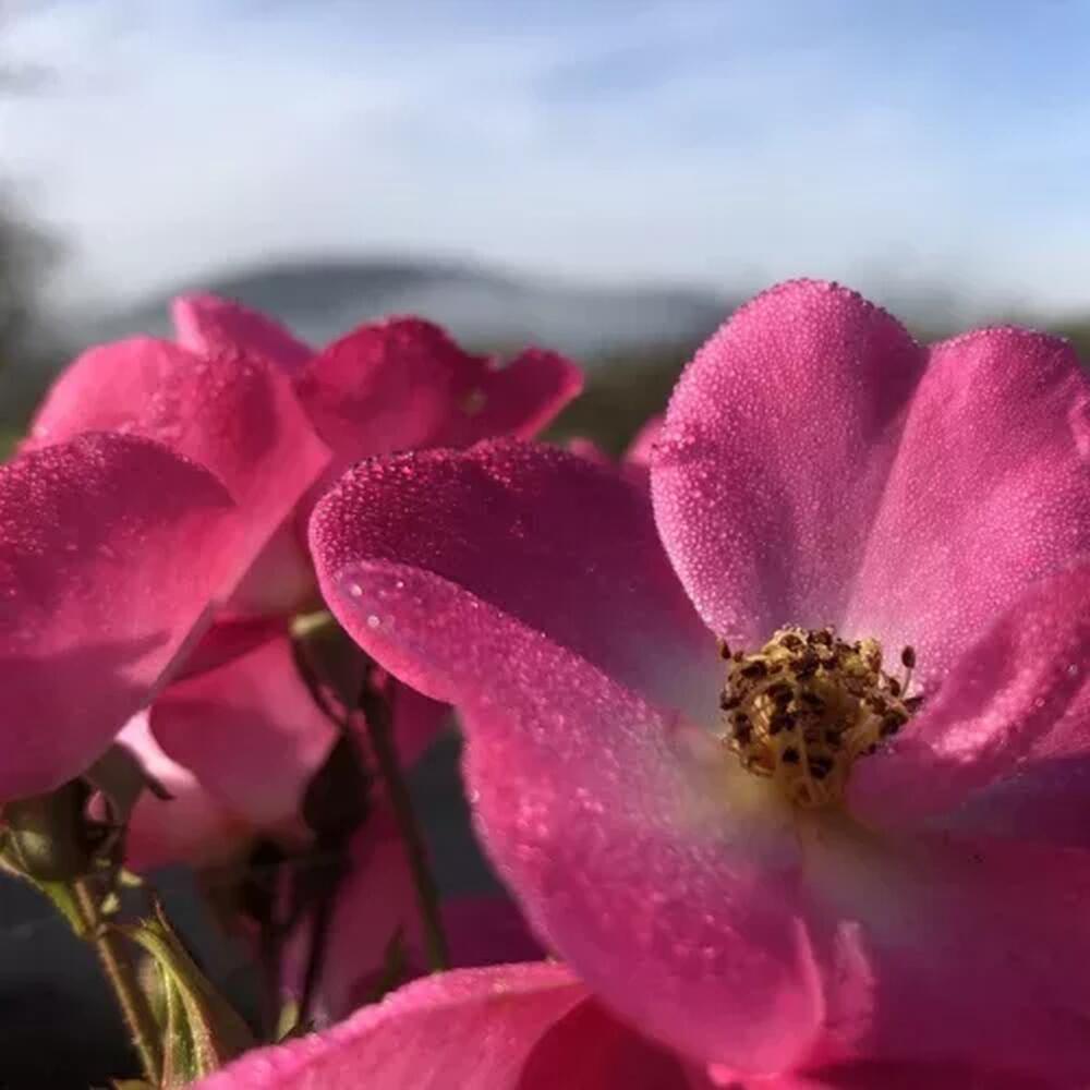 Was ernährt das Kind - leiblich, seelisch, geistig?