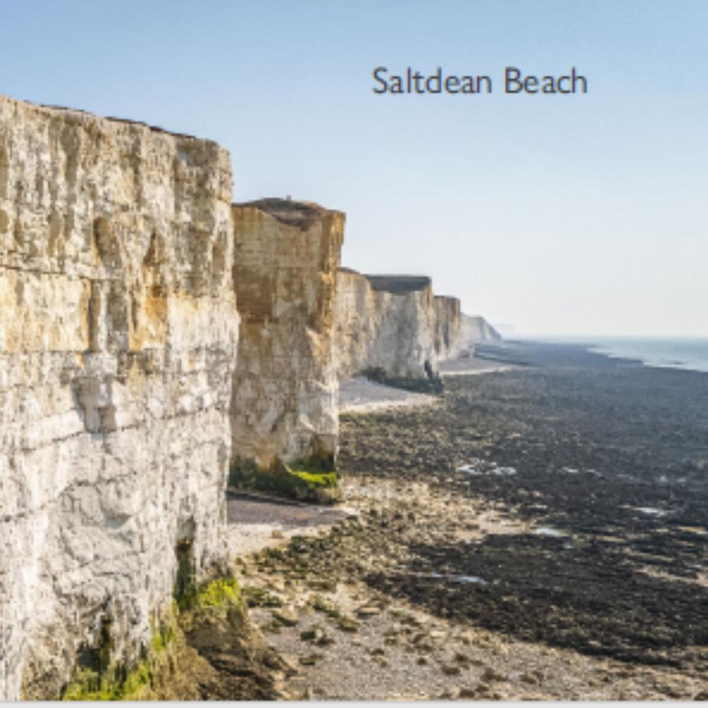 Medical Section Summer School in collaboration with Emerson College