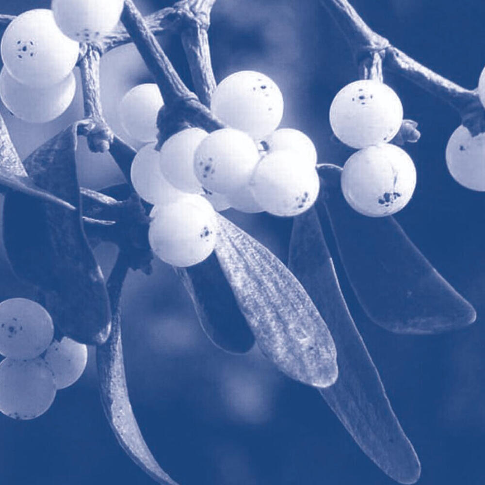 GAÄD Fortbildungsreihe Anthroposophische Onkologie,  8.-9. Mai in Leipzig (D)