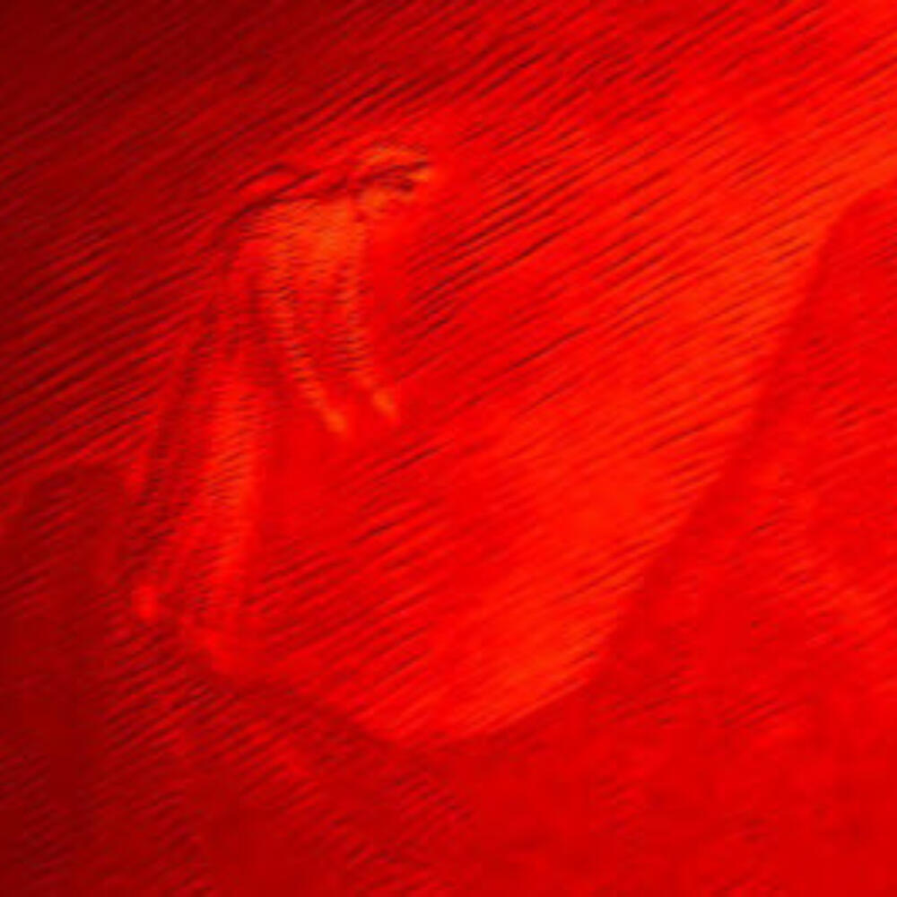 Congrès médical anthroposophique interprofessionnel "Accompagner les seuils de la vie"