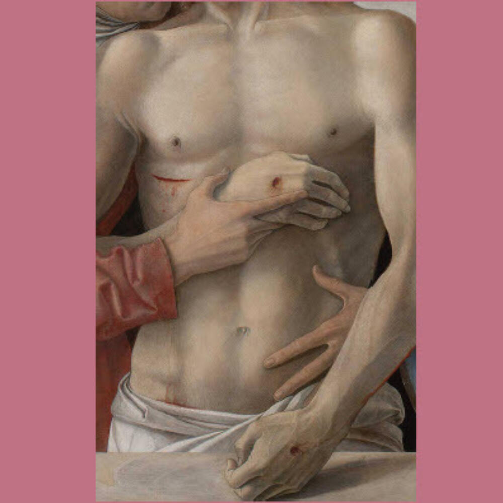 Forum per la medicina antroposofica, "Essere nel corpo, essere il corpo: evoluzione e complessità"