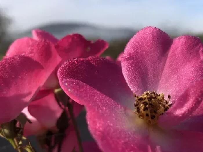Was ernährt das Kind - leiblich, seelisch, geistig?