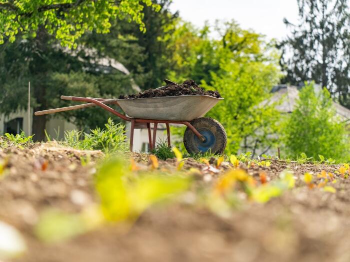 Medical- Agricultural Study Year