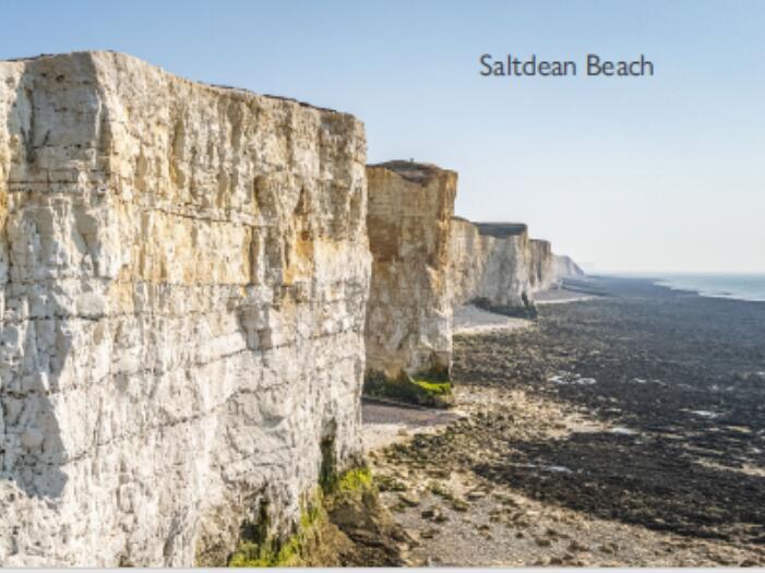 Medical Section Summer School in collaboration with Emerson College