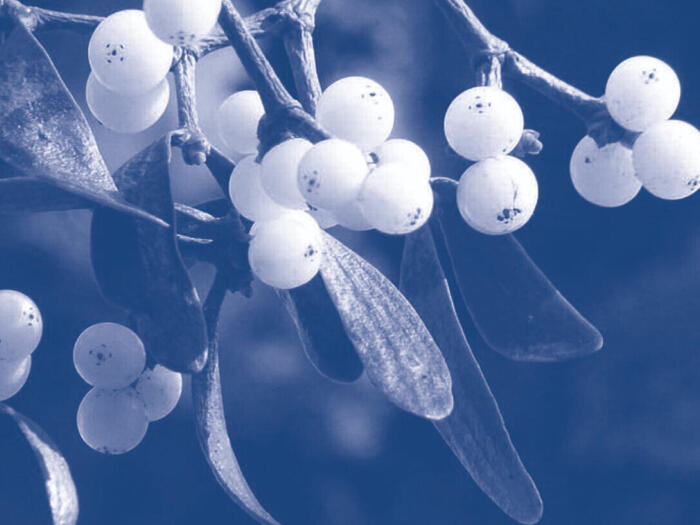 GAÄD Fortbildungsreihe Anthroposophische Onkologie,  8.-9. Mai in Leipzig (D)