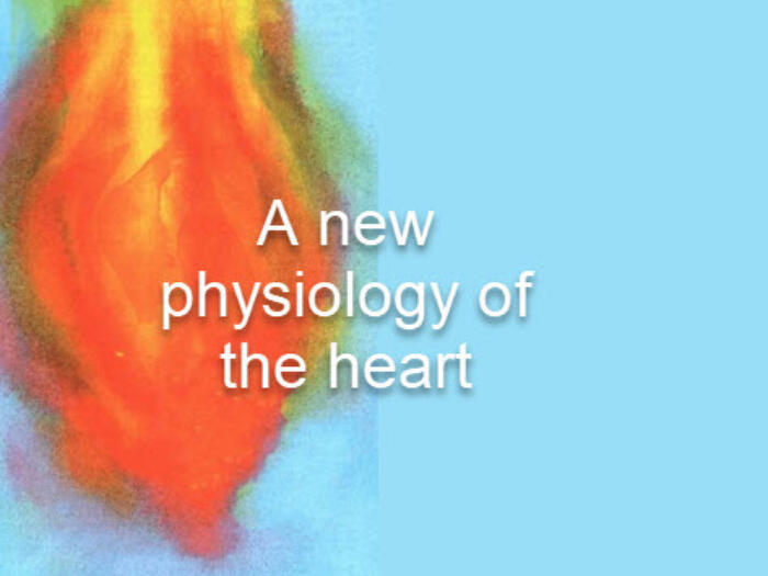 A New Physiology of the Heart