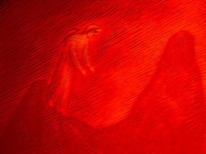 Congrès médical anthroposophique interprofessionnel "Accompagner les seuils de la vie"