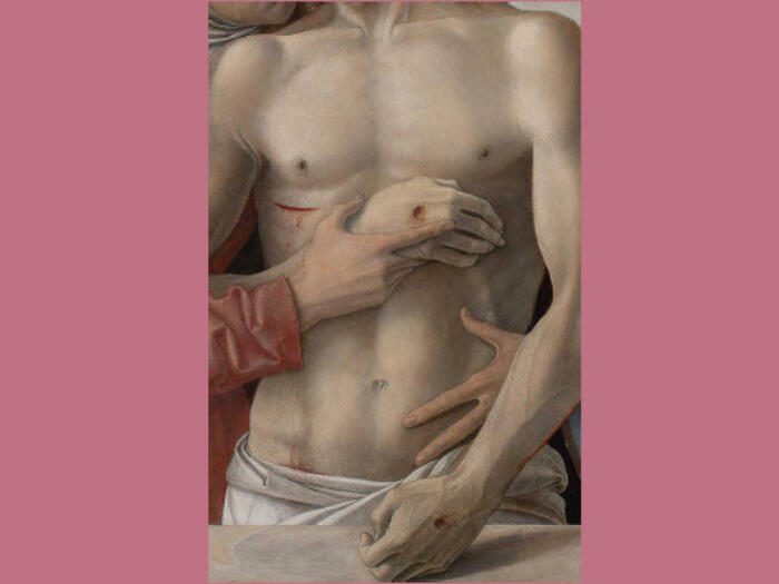 Forum per la medicina antroposofica, "Essere nel corpo, essere il corpo: evoluzione e complessità"