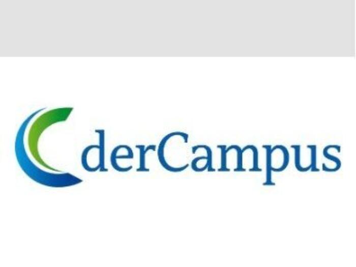 Dyspepsie: Was Hausärzte und Allgemeinmediziner wissen sollten